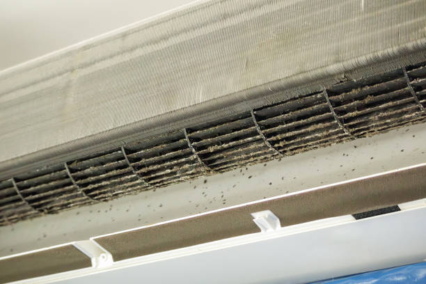 Best Emergency Air Duct Cleaning Services in West Livingston, TX